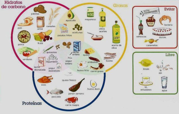 clasificacio aliments